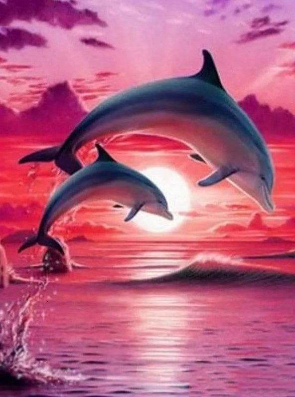 Zeedier Dolfijnen Schilderen op Nummers PBNDOL012