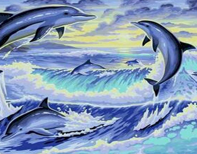 Zeedier Dolfijnen Schilderen op Nummers PBNDOW018