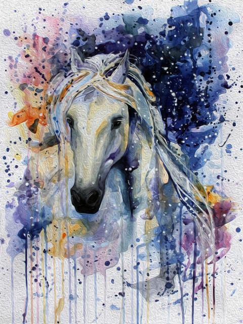 Animal Horse Paint By Numbers Canvas Wall Set PBNHOUL13