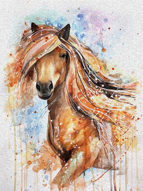Animal Horse Paint By Numbers Canvas Wall Set PBNHOUL16