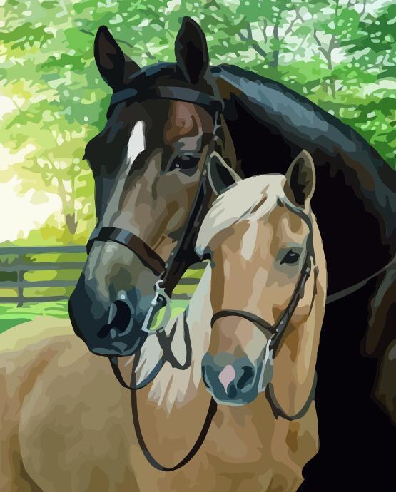 Animal Horse Paint By Numbers Canvas Wall Set PBNHOUL31