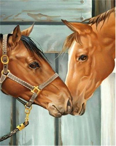 Animal Horse Paint By Numbers Canvas Wall Set PBNHOUL54