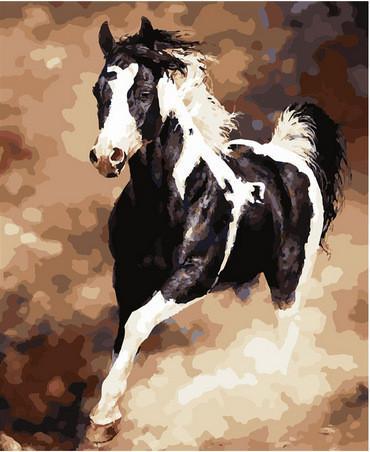 Animal Horse Paint By Numbers Canvas Wall Set PBNHOUL69