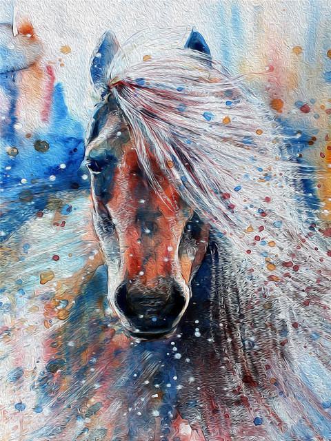 Animal Horse Paint By Numbers Canvas Wall Set PBNHOUL6