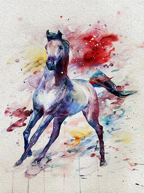 Animal Horse Paint By Numbers Canvas Wall Set PBNHOUL8