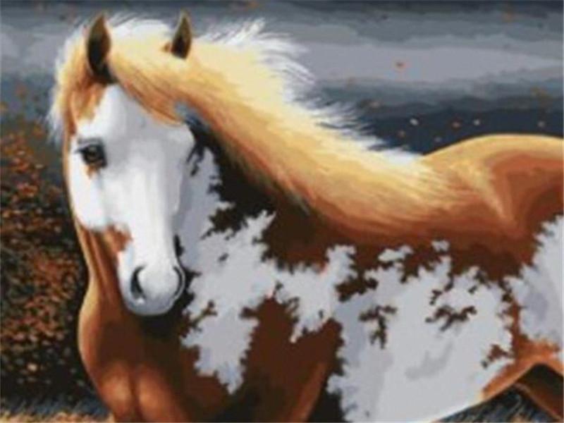 Animal Horse Paint By Numbers Canvas Wall Set PBNHOUW17