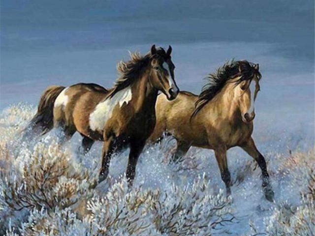Animal Horse Paint By Numbers Canvas Wall Set PBNHOUW22