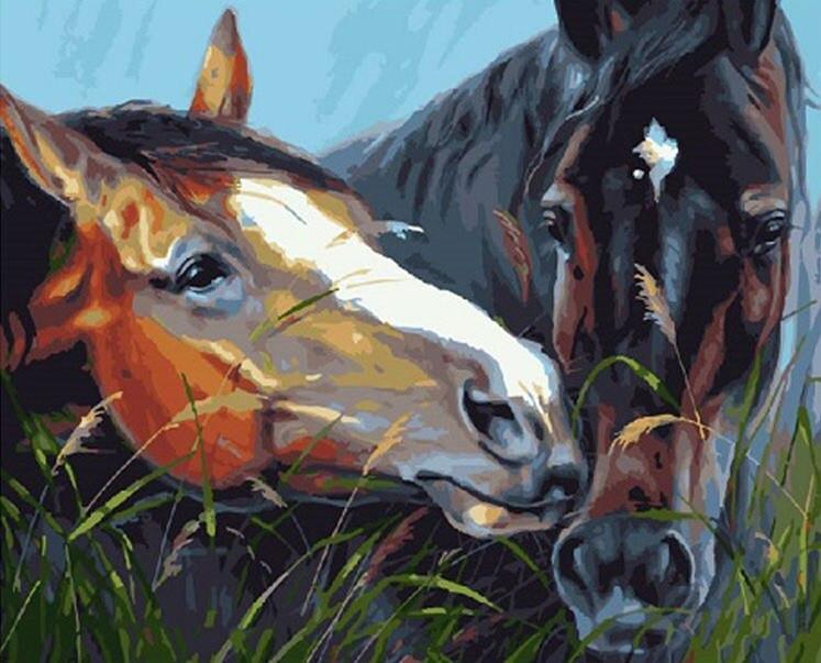 Animal Horse Paint By Numbers Canvas Wall Set PBNHOUW24