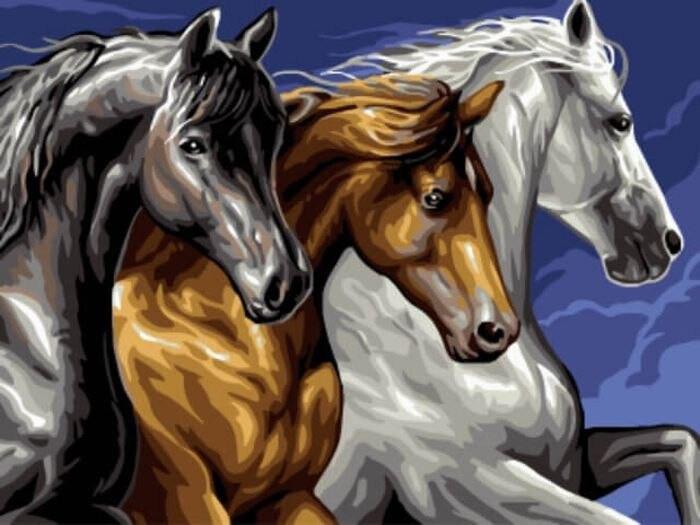 Animal Horse Paint By Numbers Canvas Wall Set PBNHOUW26