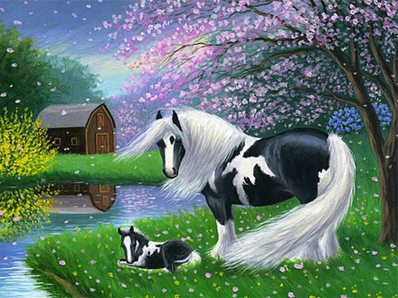 Animal Horse Paint By Numbers Canvas Wall Set PBNHOUW31