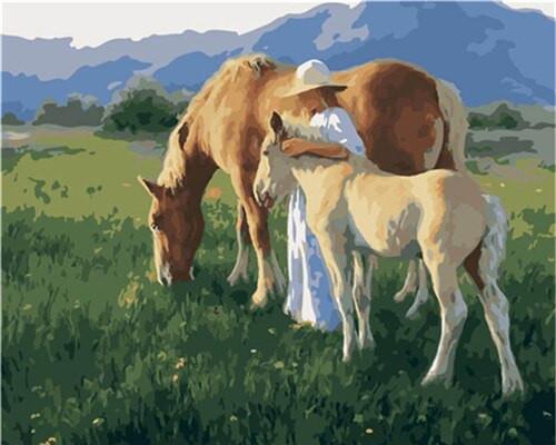 Animal Horse Paint By Numbers Canvas Wall Set PBNHOUW36