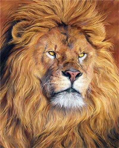 Animal Lion Paint By Numbers Canvas Wall Set PBNLIONL24