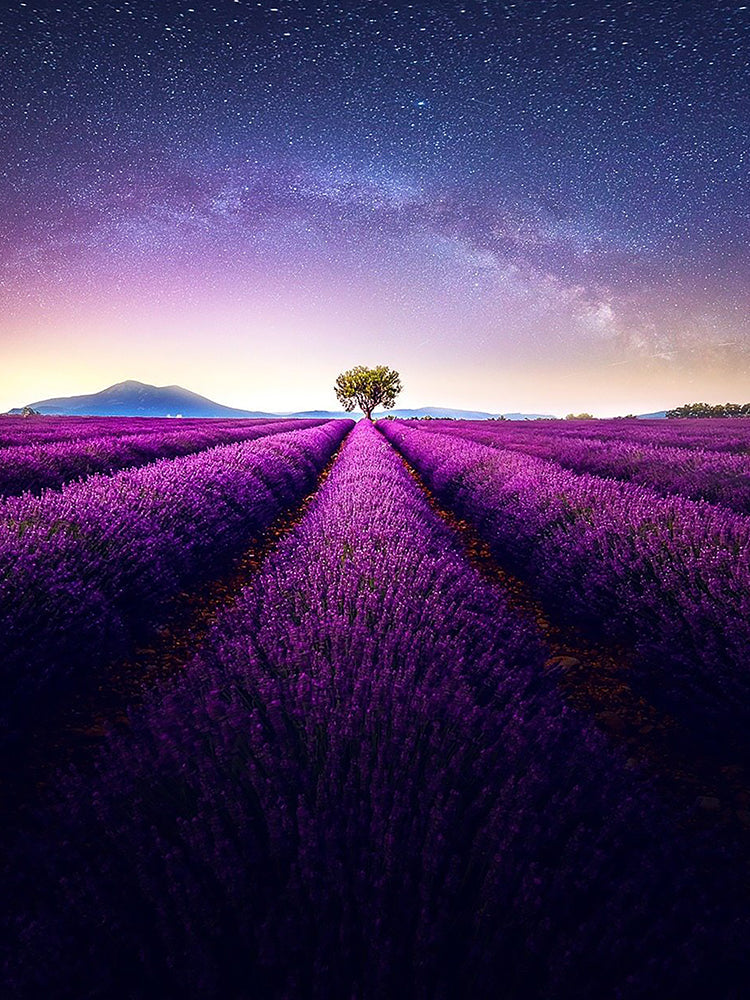 Landschap Natuur Schilderen op Nummers PBNNATL185