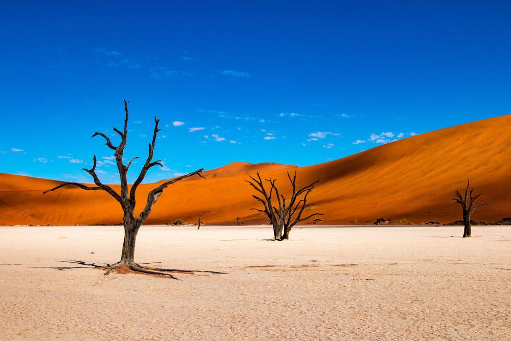 Landschap Natuur Schilderen op Nummers PBNNATW229