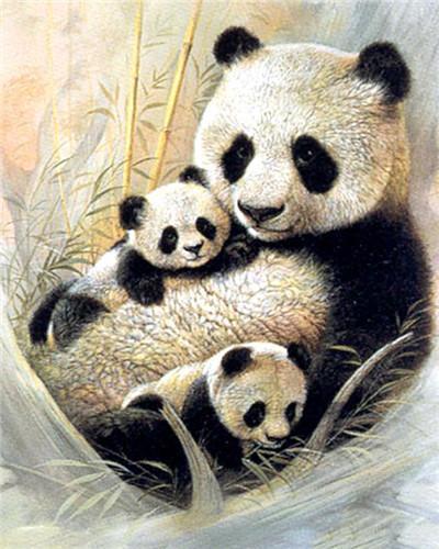 Animal Panda Paint By Numbers Canvas Wall Set PBNPANL18