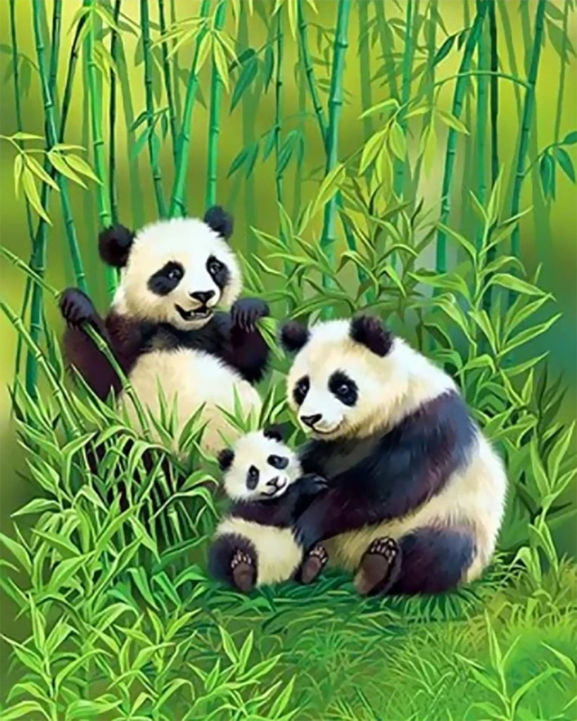 Dier Panda Schilderen op Nummers PBNPANL30