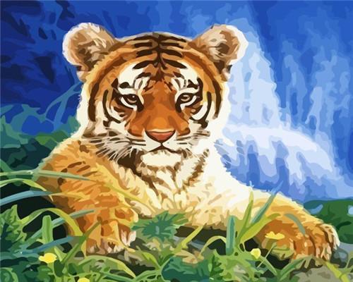 Animal Tiger Paint By Numbers Canvas Wall Set PBNTIGW14