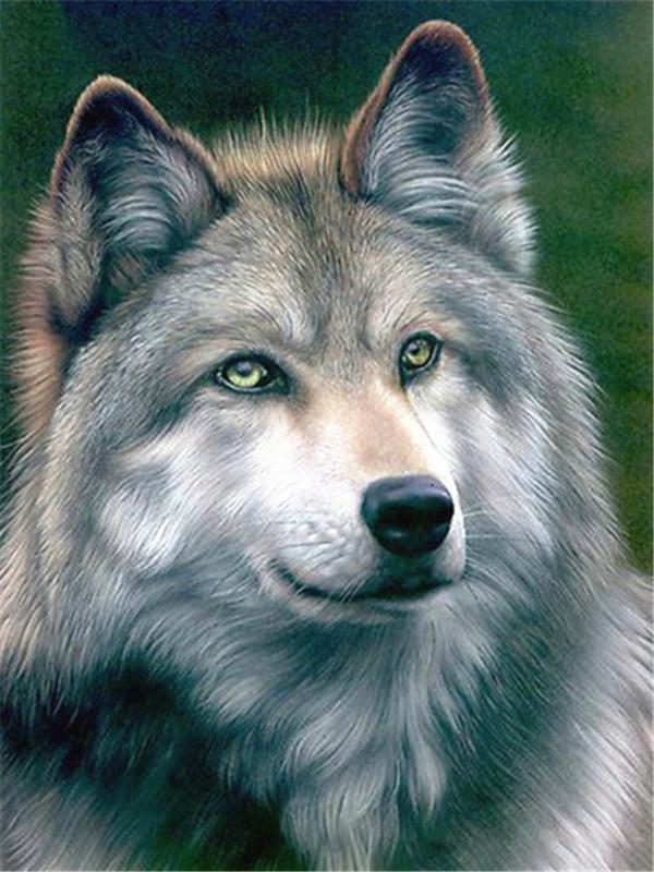 Animal Wolf Paint By Numbers Canvas Wall Set PBNWOLFL15