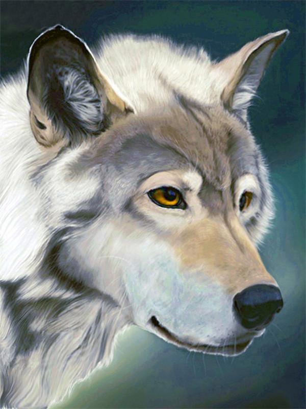 Animal Wolf Paint By Numbers Canvas Wall Set PBNWOLFL22