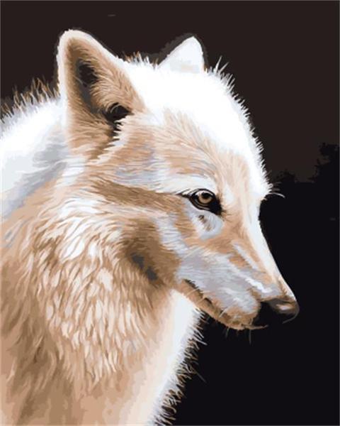 Animal Wolf Paint By Numbers Canvas Wall Set PBNWOLFL68