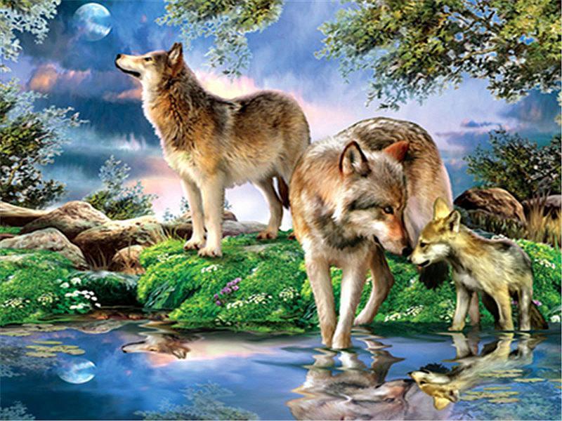 Animal Wolf By Numbers Canvas Wall Set PBNWOLFW14
