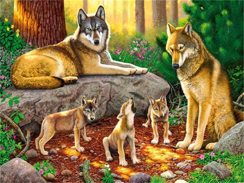 Animal Wolf By Numbers Canvas Wall Set PBNWOLFW16