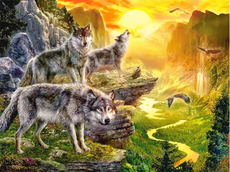 Animal Wolf By Numbers Canvas Wall Set PBNWOLFW8