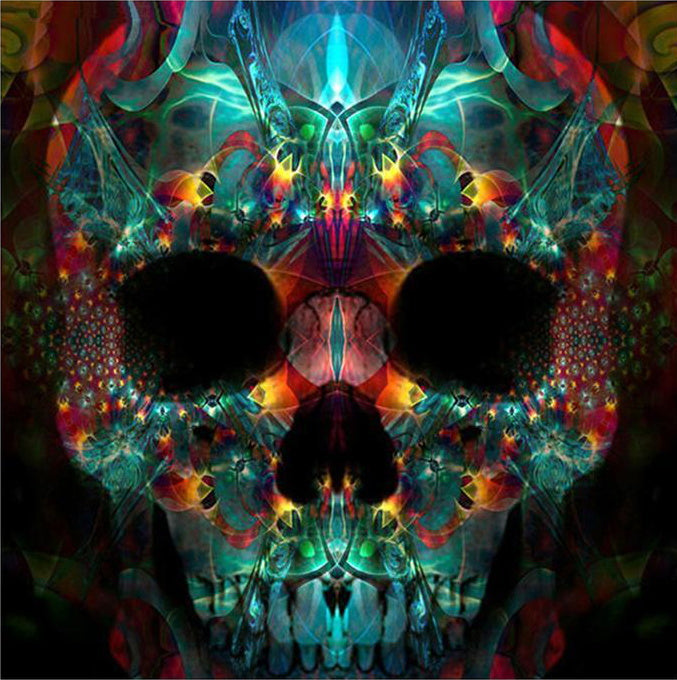 Abstract Gedecoreerd Skelet Schilderen op Nummers