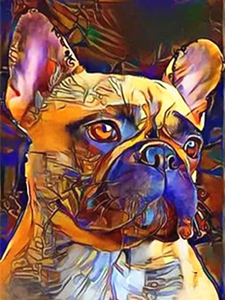 Abstracte Kunst Bulldog Schilderen op Nummers