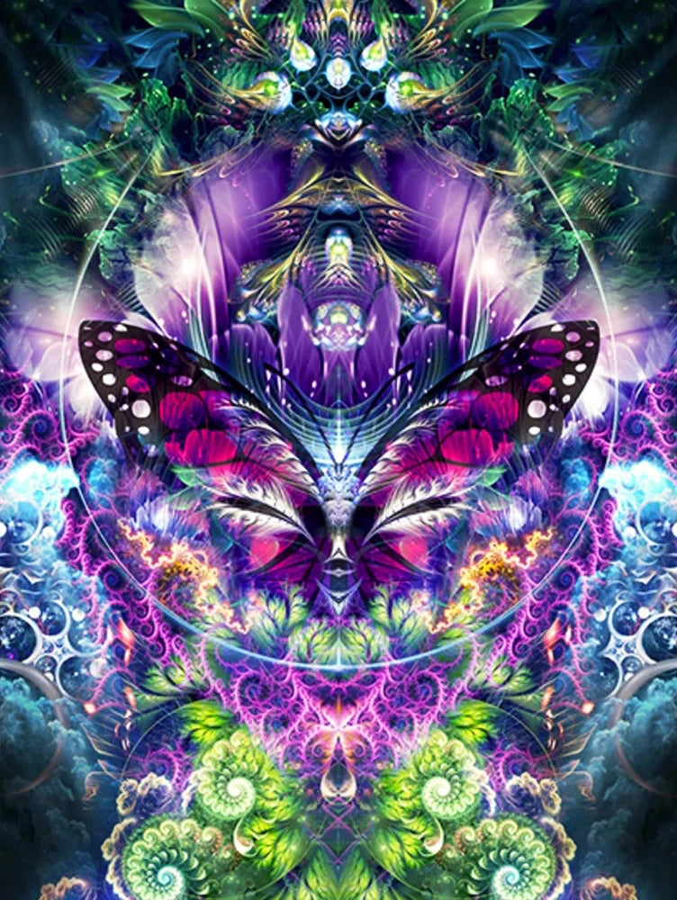 Abstracte Vlinder Schilderen op Nummers