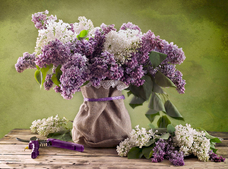 Afgesneden paarse en witte bloemen Schilderen op Nummers