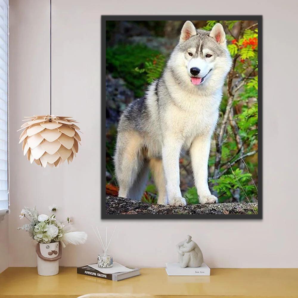 Alaska Hond Schilderen op Nummers