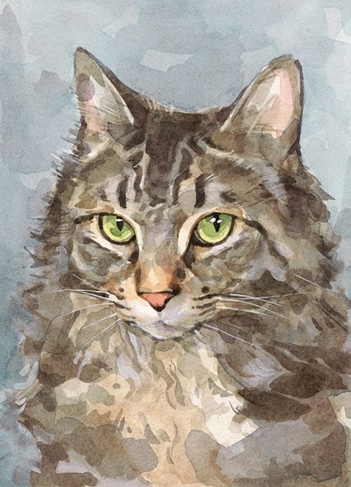 Aquarel Kat Schilderen op Nummers