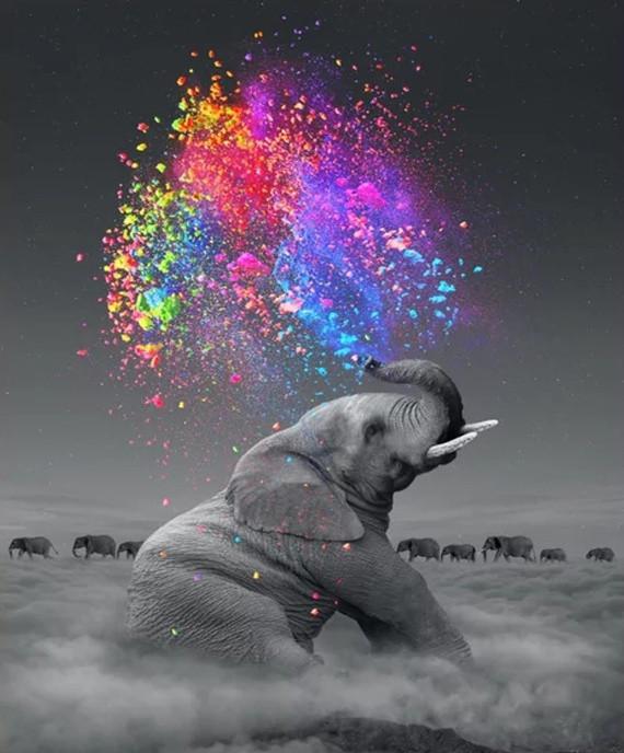 Aquarel Spuitende Olifant Schilderen op Nummers