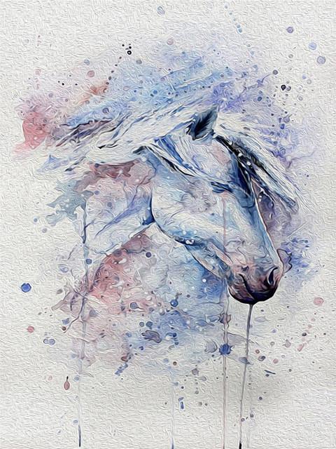Aquarel Stijl Paard Schilderen op Nummers
