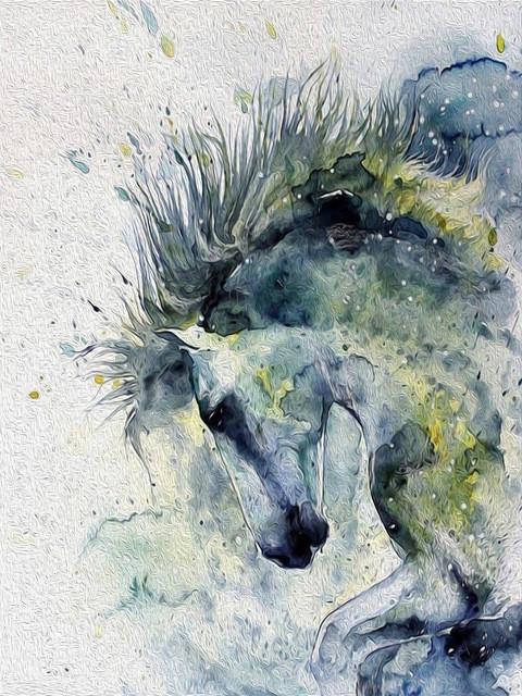 Aquarel Stijl Paard Schilderen op Nummers