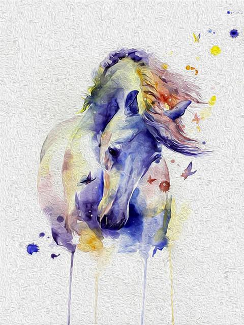 Aquarelstijl Paard Schilderen op Nummers