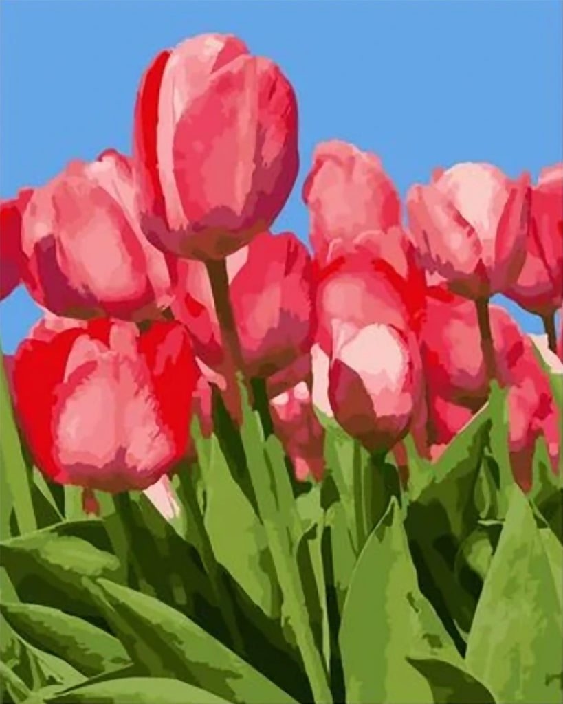 Aquarelstijl Rode Tulpen onder een Blauwe Lucht Schilderen op Nummers