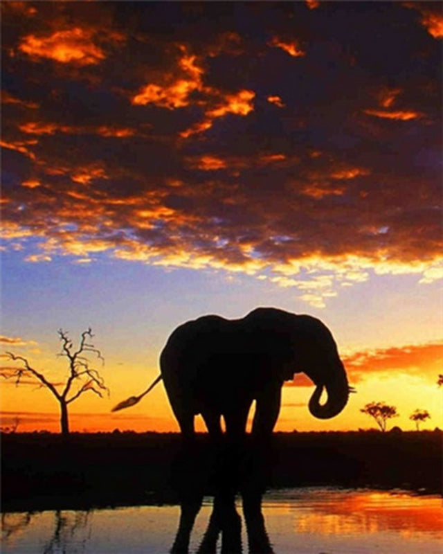 Avondzon en Olifant Schilderen op Nummers