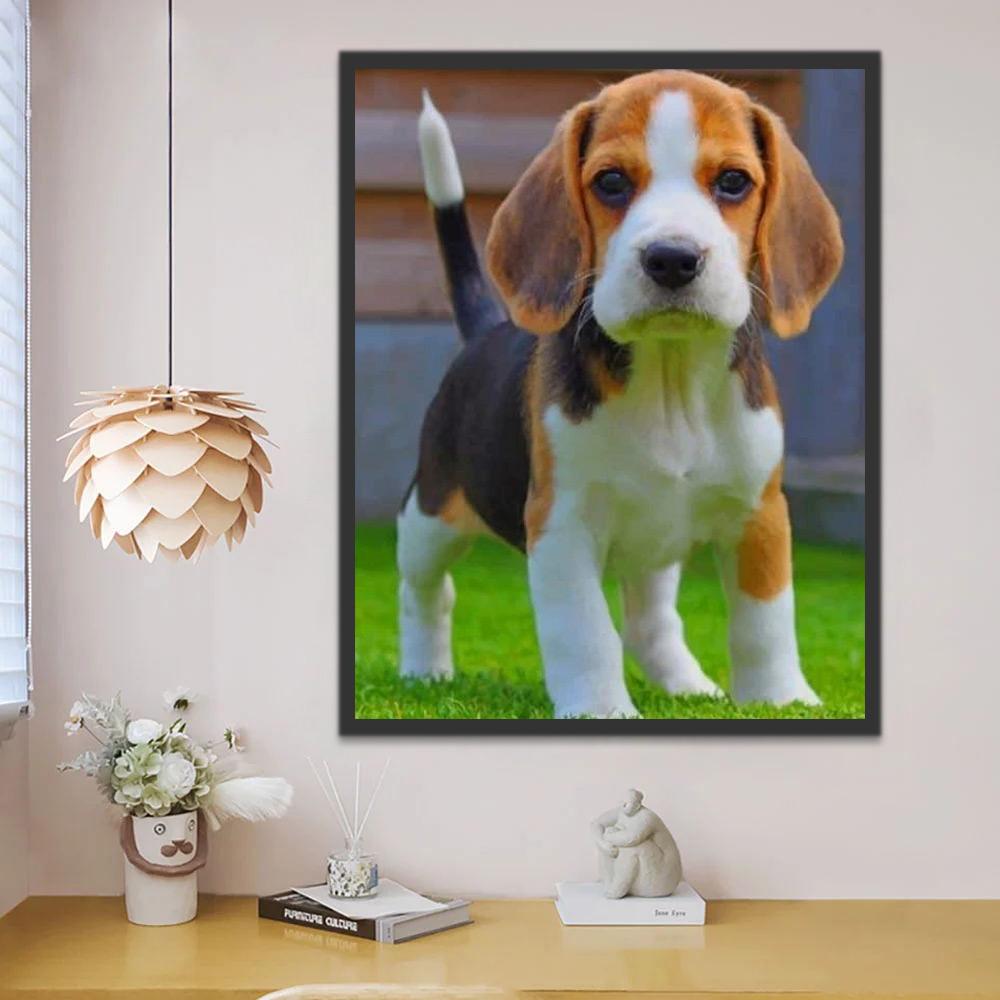 Beagle Hond Schilderen op Nummers