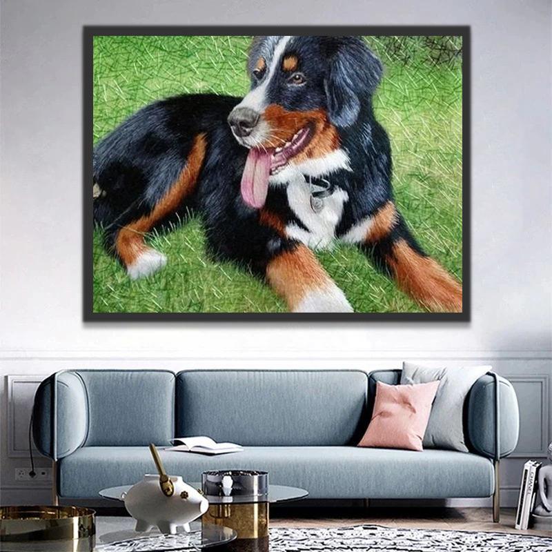 Berner Sennenhond in de Weide Schilderen op Nummers