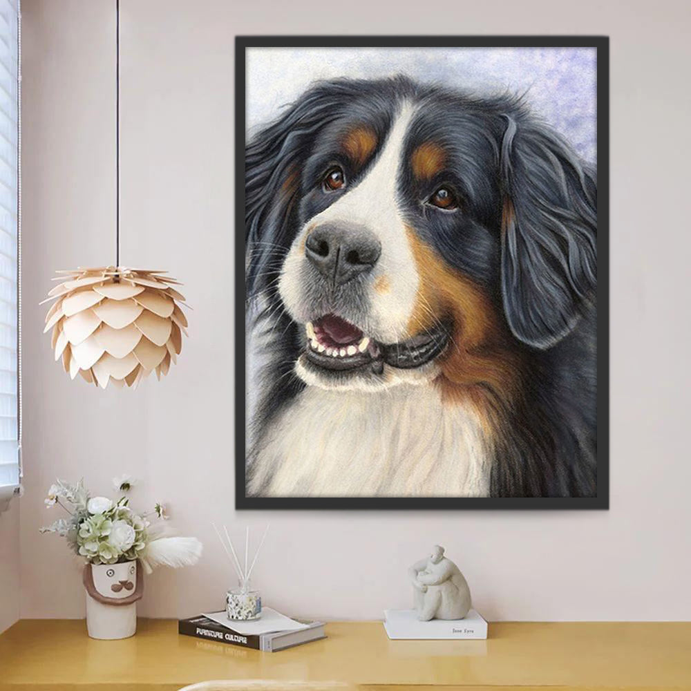 Berner Sennenhond Schilderen op Nummers