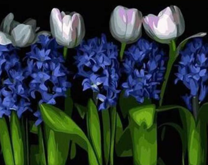 Blauwe Bloemen en Wit Paarse Tulpen Schilderen op Nummers