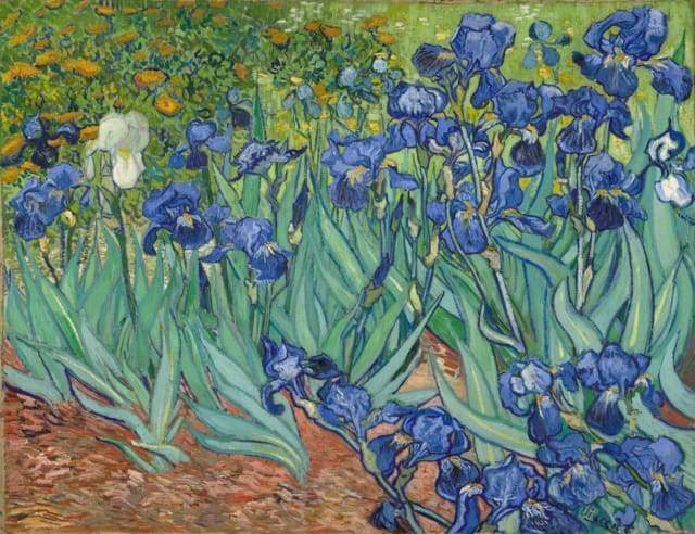 Blauwe Irissen Schilderen op Nummers