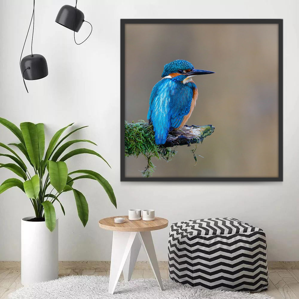 Blauwe Kolibrie Schilderen op Nummers