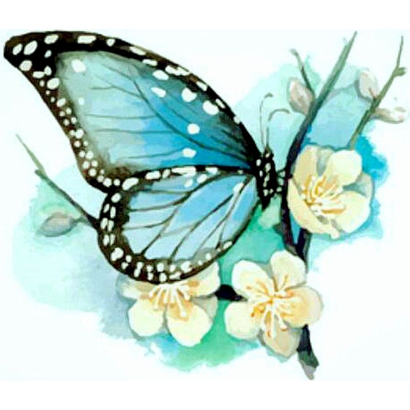 Blauwe Vlinder en Witte Bloemen Schilderen op Nummers