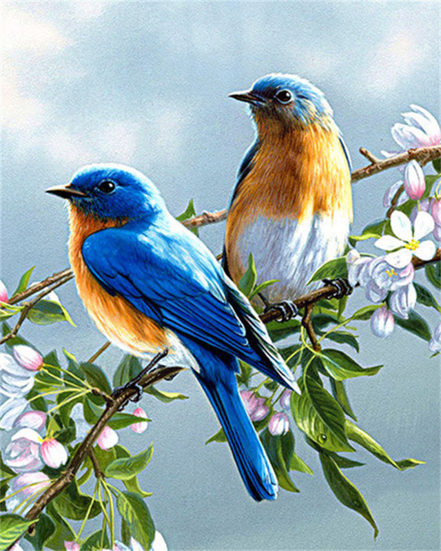 Blauwe Vogels op een Bloesemtak Schilderen op Nummers
