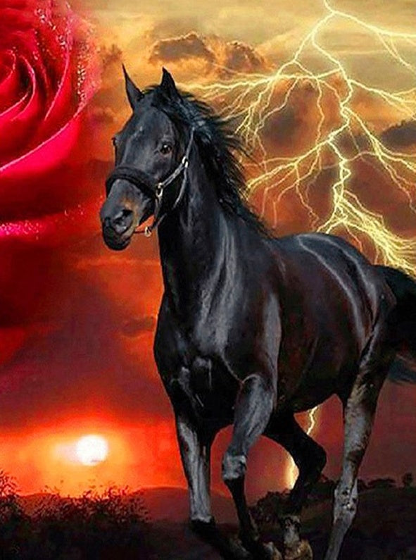 Bliksem en het Zwarte Paard Schilderen op Nummers
