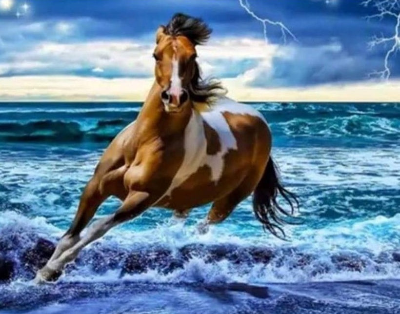 Bliksem Zee Paard Schilderen op Nummers