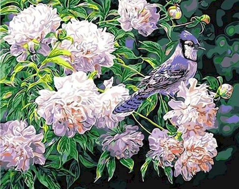 Bloeiende Bloemen en Vogel Schilderen op Nummers